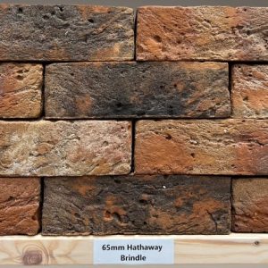 Hathaway Brindle <span> 65 MM </span>